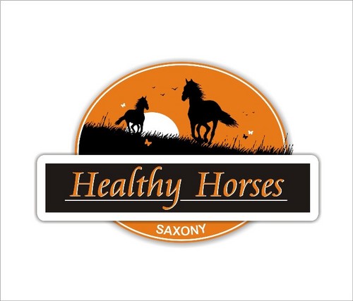 Healthy Horses ist ein junges Unternehmen, welches innovative Pfege- und Beschäftigungsprodukte für Pferde auf den Markt bringt.