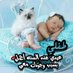 kimo Abo elsoud (@elsoudkimo) Twitter profile photo