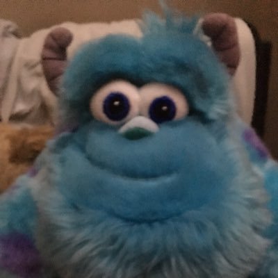 Hey world! My name is Sully my friends call me Kitty! I’m here to share my journey with you! ❤️