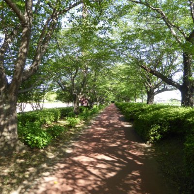 北本総合公園公式です。総合公園やおよそ90か所ある市内都市公園の情報、状況を発信します。　 
Facebook→https://t.co/ECdkAUiFBh
Instagram→https://t.co/idOE7Ozgxj…