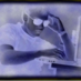 David Shamah (@newzgeek) Twitter profile photo David Shamah (@newzgeek) Twitter profile photo