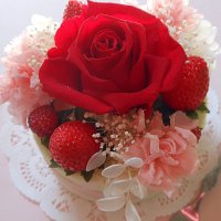 キラキラ (@55149yya) 's Twitter Profile Photo