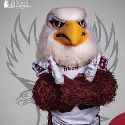 We are the faces of all things EAGLE PRIDE here at North Carolina Central University. #NESTAINTDEAD