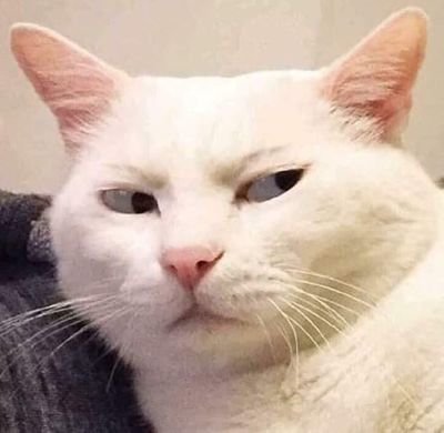 zz17636267's profile picture. 