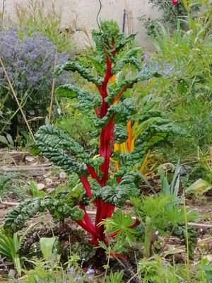 MorrisHazell's profile picture. Le pv de @MorrisHelix. Plus de furet plus de SPTC et moins de tweets effacés