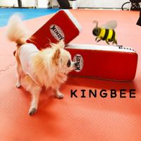 KINGBEE/ToshiyaSuzuki (@kingbee_bukyuan) Twitter profile photo
