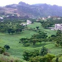 الصقرالجريح (@eu8xsq25pwt1vol) 's Twitter Profile