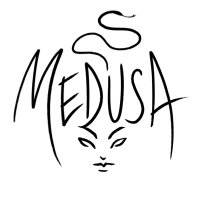 Medusa (@uchicagomedusa) 's Twitter Profile