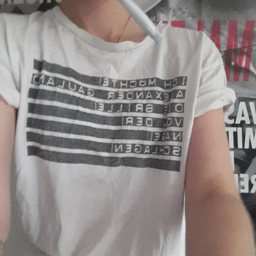 lavendelfuchs's profile picture. bio.