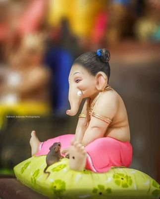 kaluprajapati41's profile picture. 