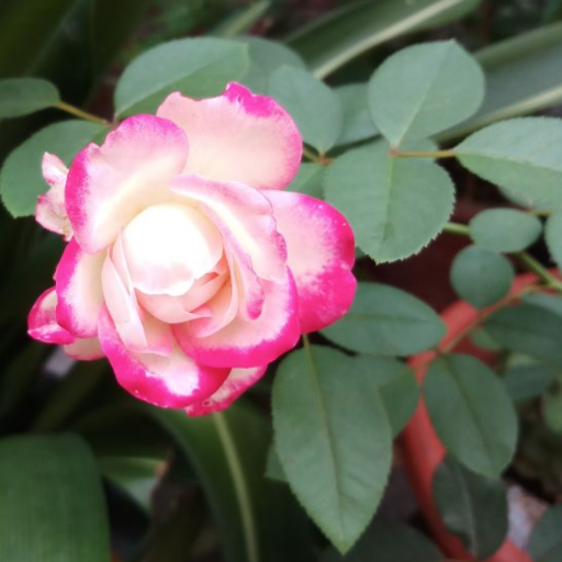 yoyo06084641's profile picture. 