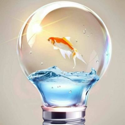 NelsonRight's profile picture. Lughting world lighting future



Our vision is to be frist class lighting supplier in the world.


My WeChat/ WhatsApp +8613857437710