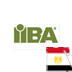 Provide all news and updates about Cairo Chapter of International Institute of Business Analysis (IIBA)