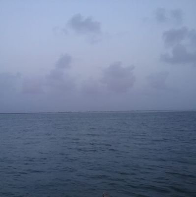 Yazoo97229469's profile picture. entrepreneur