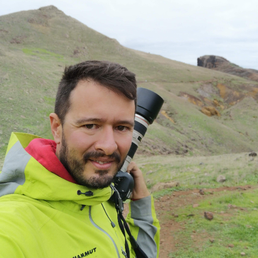 pedronfmedeiros's profile picture. 