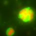 Aalto_Biochemistry (@aaltobiochemis1) Twitter profile photo Aalto_Biochemistry (@aaltobiochemis1) Twitter profile photo