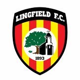 Lingfield FC U23(@LingfieldU23) 's Twitter Profile Photo