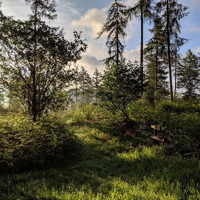 Our woodland and permaculture project in the English Lake District. Exploring sustainable food production ideas within our little food forest.