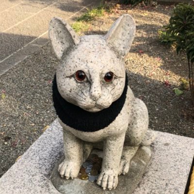 児童福祉系（仕事）猫かわいがり（茶白・サバ白）