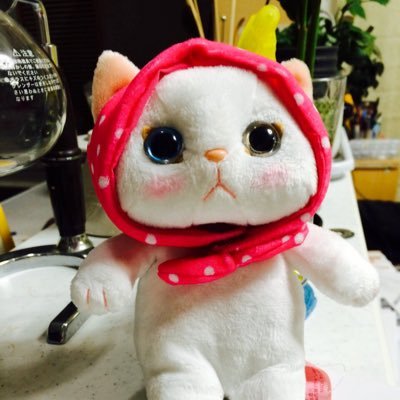 クロネコオスがモコ メスがプリンです。 オスのモコは8月30日に天国に行きました。よかったらInstagramもぜひ覗いてみてください♫ Instagramはあんまりネコは載せてなくてごめんなさい。