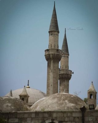 DabbaghiaAya's profile picture. 