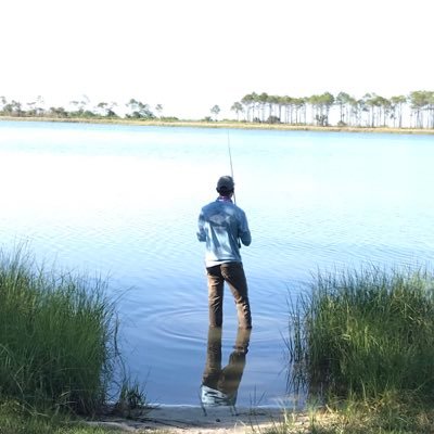 SamDove31's profile picture. What's the good word?