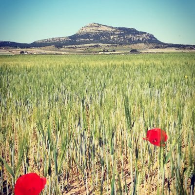 ⏺Aquí tenéis nuestra Asociación. ⏺Rinde homenaje merecido a uno de los maestros de la #palabra.