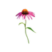 My Flower Box Designs (@myflowerboxllc) Twitter profile photo My Flower Box Designs (@myflowerboxllc) Twitter profile photo