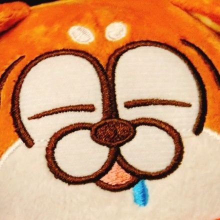 しらすさんのプロフィール画像