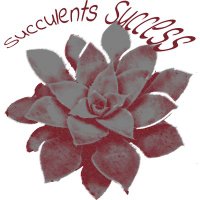 Succulents Success(@SucculentsSucc1) 's Twitter Profileg