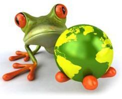 Frog Productions
