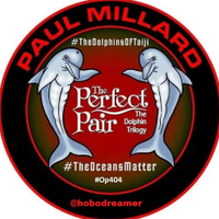 Paul Millard(@hobodreamer) 's Twitter Profile Photo