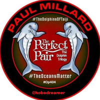Paul Millard (@hobodreamer) 's Twitter Profile