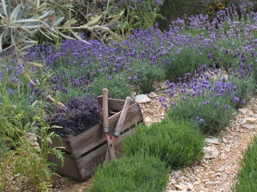 havenroad's profile picture. Extensive knowledge of property & the people in #BH13, built from long experience of working & selling in Canford Cliffs, Branksome Park, Sandbanks & Lilliput.