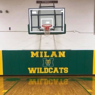 Milan Ladycat Basketball Updates