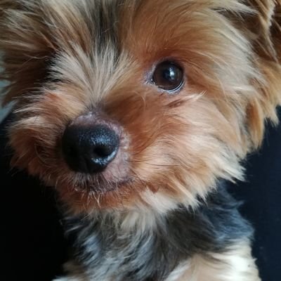 GeoffreyMaguir2's profile picture. I love star trek