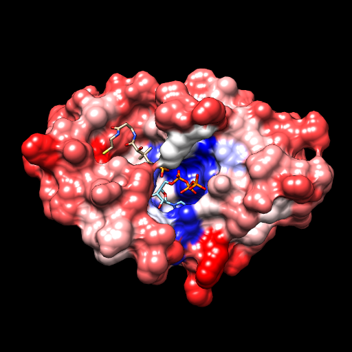 Official lab news from the Plesa Lab at @UOKnightCampus