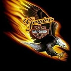 Coffelt468's profile picture. Leather work