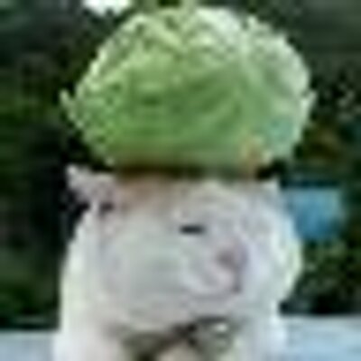 Zloog Gu Ss 8y9 Mvw Ny V Ng V 4 O6 Gy Z F Rtn U Ee U