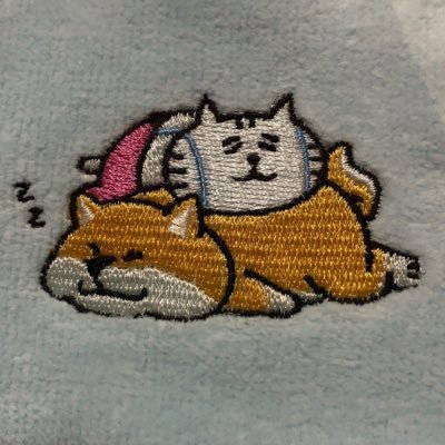 静かの海のパライソの亡霊 刺繍となろう小説読むのとゲームと寝ることが好き オラソワのFDください