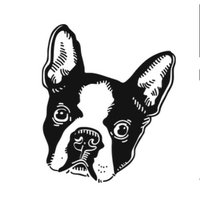 Boston Terrier Society(@Boston_Society) 's Twitter Profile Photo