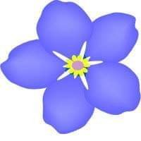 Safe Harbour Care Home (@care_harbour) 's Twitter Profile