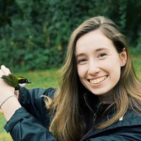 Kris Hayward (@krishayward8) 's Twitter Profile Photo