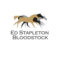 Ed Stapleton Bloodstock(@ESBloodstock) 's Twitter Profile Photo