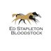 Ed Stapleton Bloodstock (@ESBloodstock) Twitter profile photo