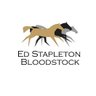ESBloodstock's profile picture. International Bloodstock Agency providing Sales, Investments, Management, Media, Insurance & Logistics services. UK+447426946410 IRE+353838269148 NZ+64272589114