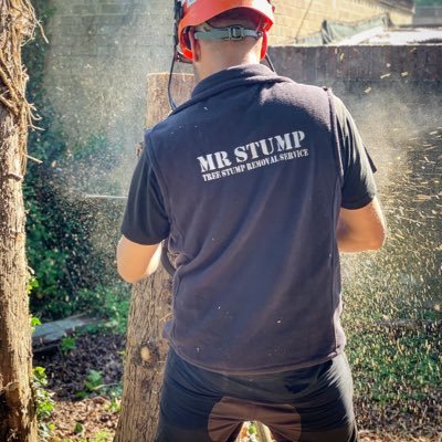 Mr Stump is a professional stump grinding company based in Norwich and we specialise in tree stump removal throughout Norfolk and North Suffolk. ☎️ 01603 905630