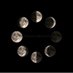 Crescent Moon (@half_fullmoon) Twitter profile photo Crescent Moon (@half_fullmoon) Twitter profile photo