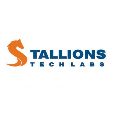 StallionsTechL's profile picture. IT consulting and support service