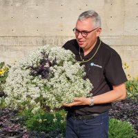 Ronald Valentin (@rvbiocontrol) 's Twitter Profile